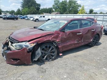  Salvage Nissan Maxima