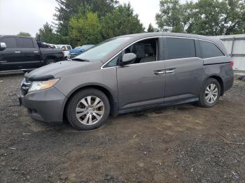  Salvage Honda Odyssey