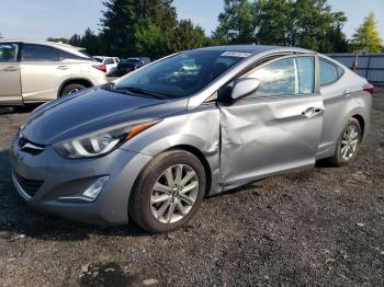  Salvage Hyundai ELANTRA