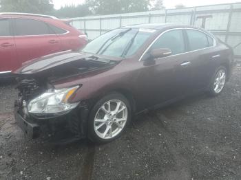  Salvage Nissan Maxima