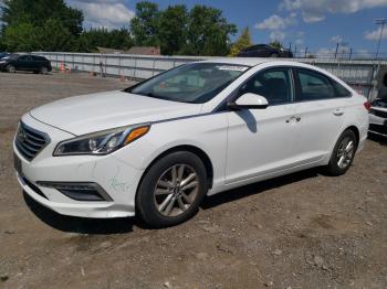  Salvage Hyundai SONATA