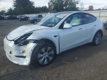  Salvage Tesla Model Y