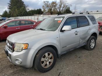  Salvage Ford Escape