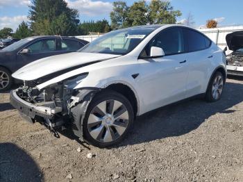  Salvage Tesla Model Y