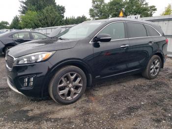  Salvage Kia Sorento