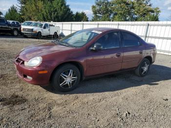  Salvage Dodge Neon