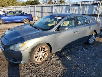  Salvage Nissan Maxima