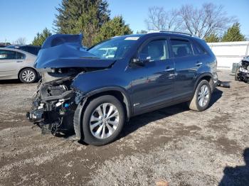  Salvage Kia Sorento