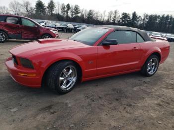  Salvage Ford Mustang