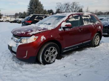  Salvage Ford Edge