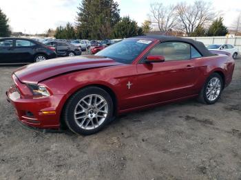  Salvage Ford Mustang