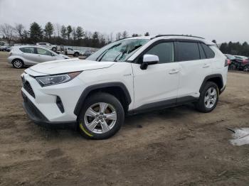  Salvage Toyota RAV4