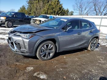  Salvage Lexus Ux