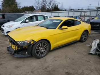  Salvage Ford Mustang