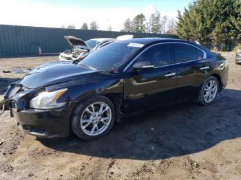  Salvage Nissan Maxima