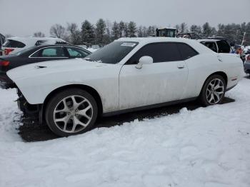  Salvage Dodge Challenger