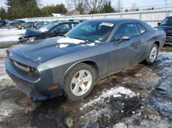  Salvage Dodge Challenger