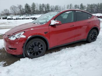  Salvage Tesla Model Y