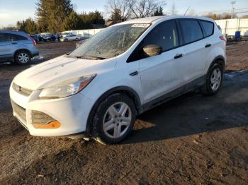  Salvage Ford Escape