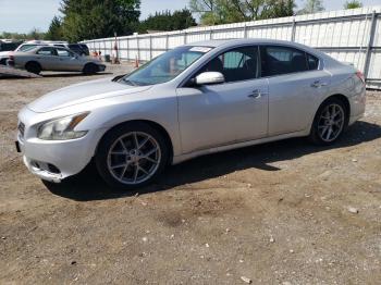  Salvage Nissan Maxima
