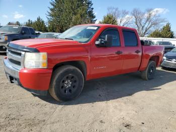  Salvage Chevrolet Silverado