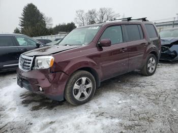  Salvage Honda Pilot