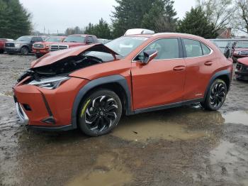  Salvage Lexus Ux