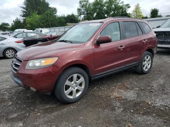  Salvage Hyundai SANTA FE