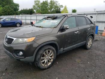 Salvage Kia Sorento