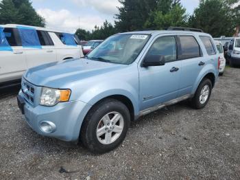 Salvage Ford Escape