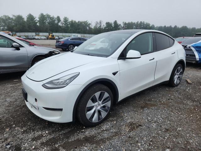  Salvage Tesla Model Y