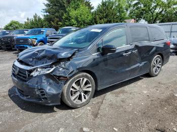  Salvage Honda Odyssey
