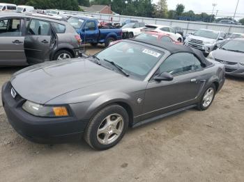  Salvage Ford Mustang