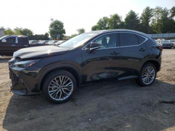  Salvage Lexus NX