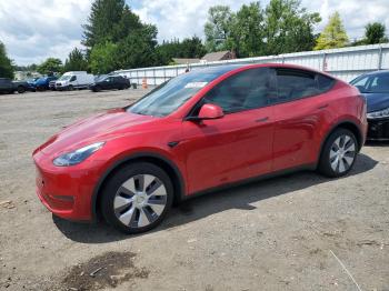  Salvage Tesla Model Y