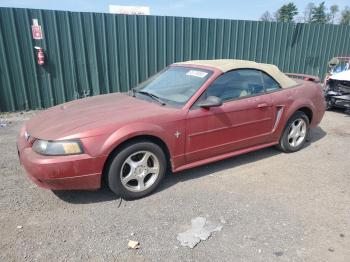  Salvage Ford Mustang