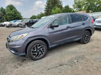  Salvage Honda Crv