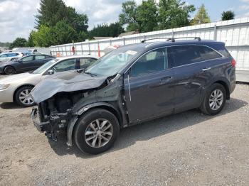  Salvage Kia Sorento