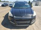 Ford Escape Se Image 9