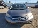 Honda Crv Exl Image 3