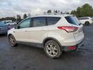 Ford Escape Titanium Image 7