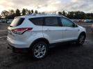 Ford Escape Titanium Image 4