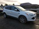 Ford Escape Titanium Image 13