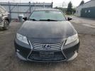 Lexus Es 300h Image 11
