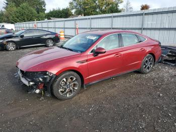  Salvage Hyundai SONATA