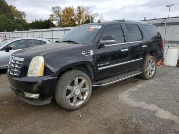  Salvage Cadillac Escalade