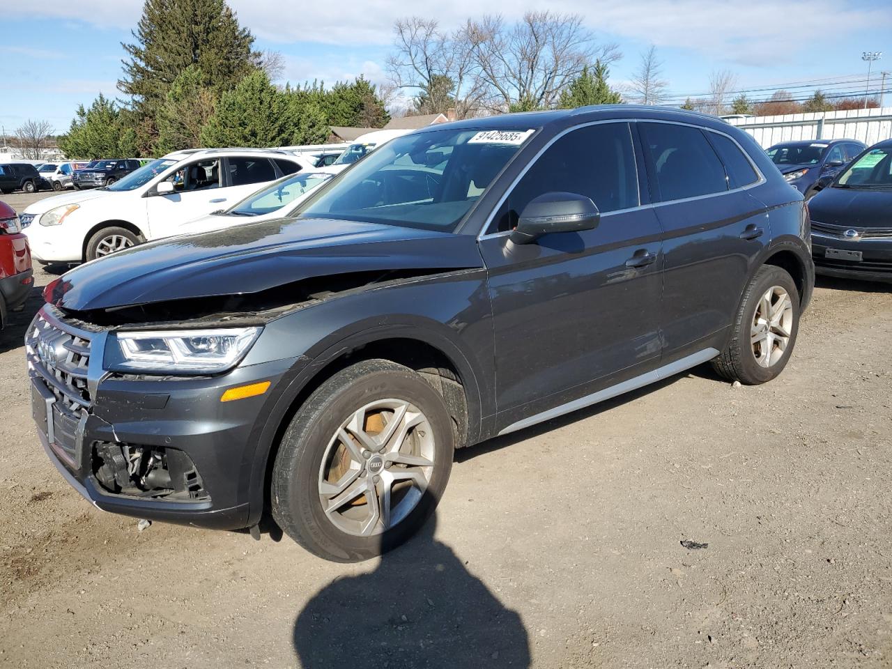 Audi Q5 Premium Plus Image 1