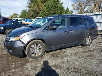  Salvage Honda Odyssey