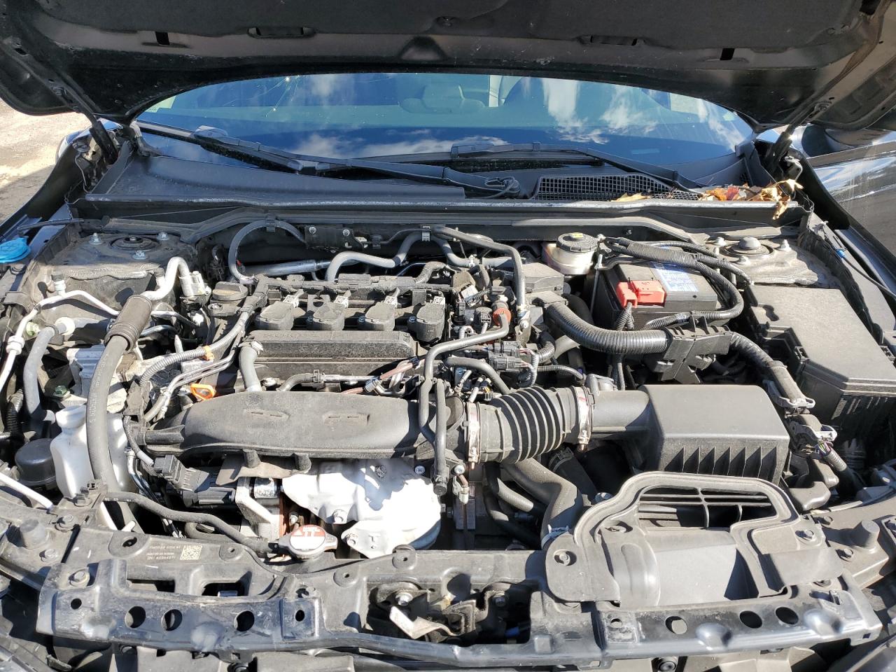 Honda Civic Exl Image 5