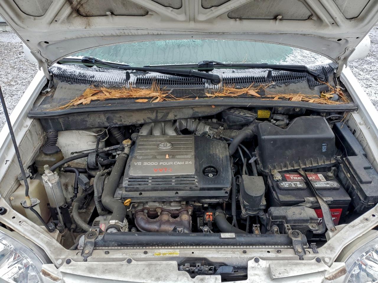 Toyota Sienna Le Image 11